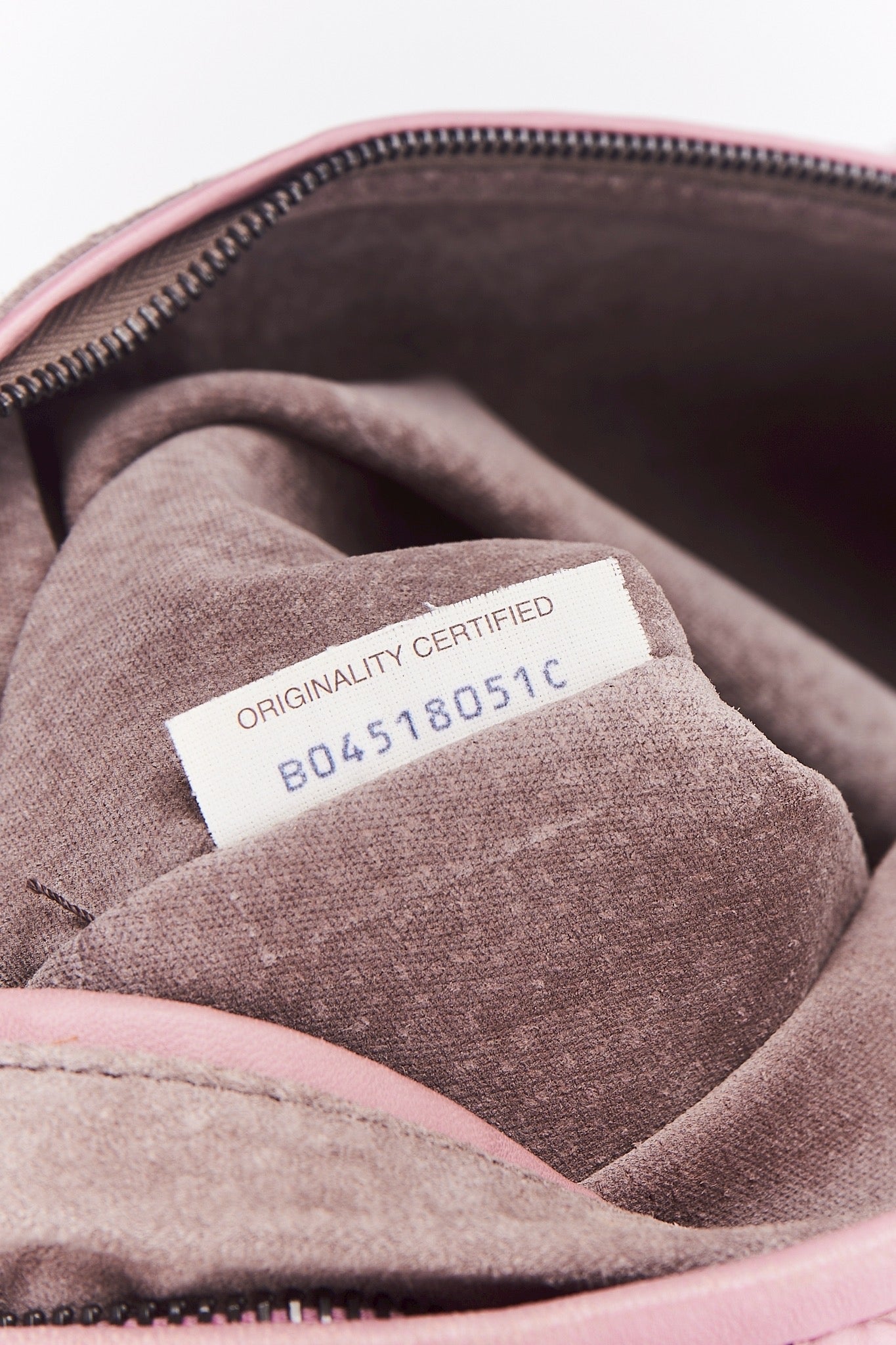 Bottega hobo bag