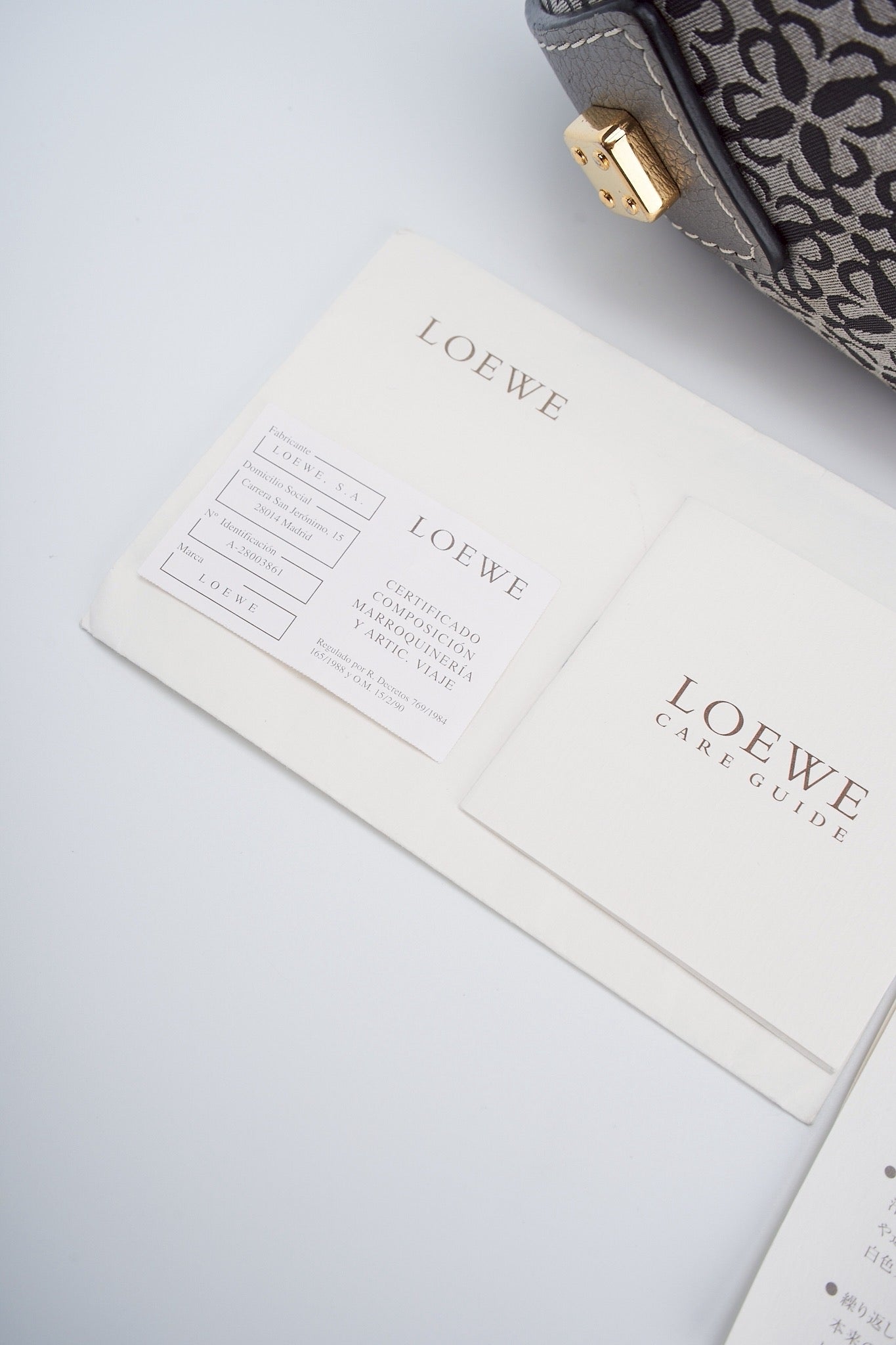 Loewe canvas hobo