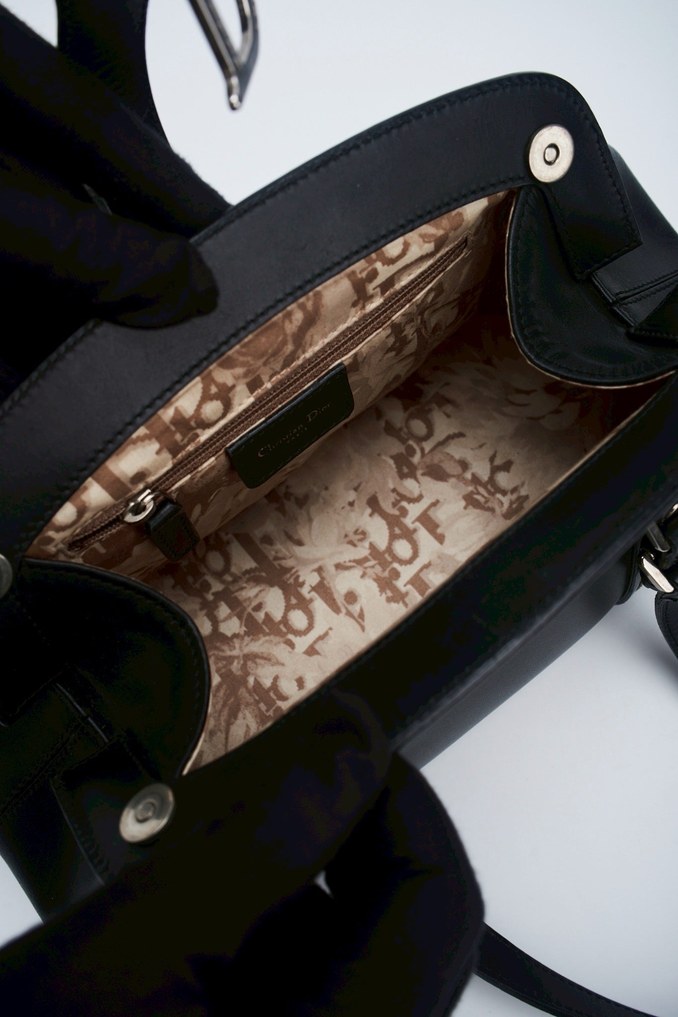 Dior Detective frame bag