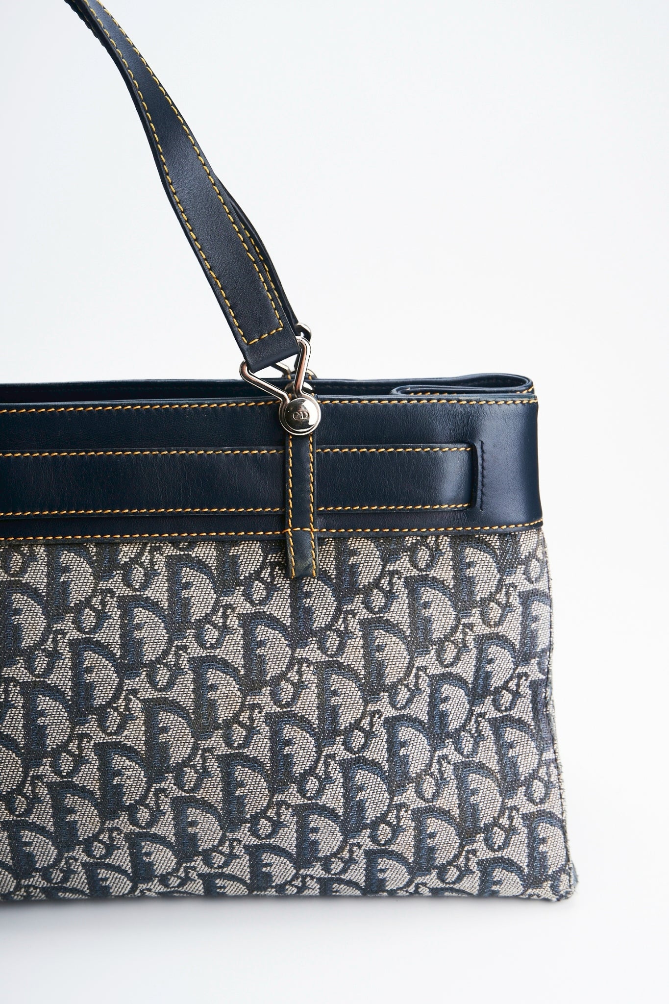Dior trotter handbag