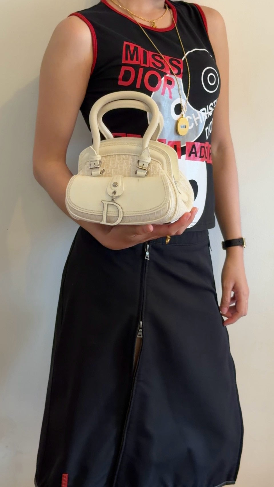 Dior detective small handbag