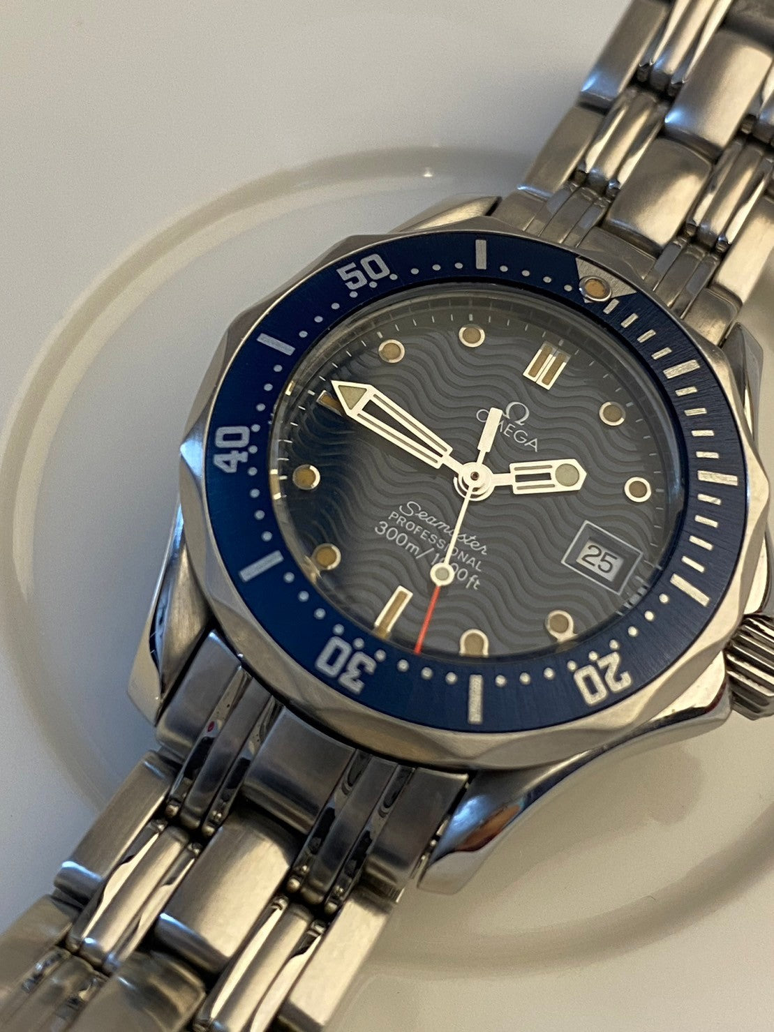 Omega seamaster professional