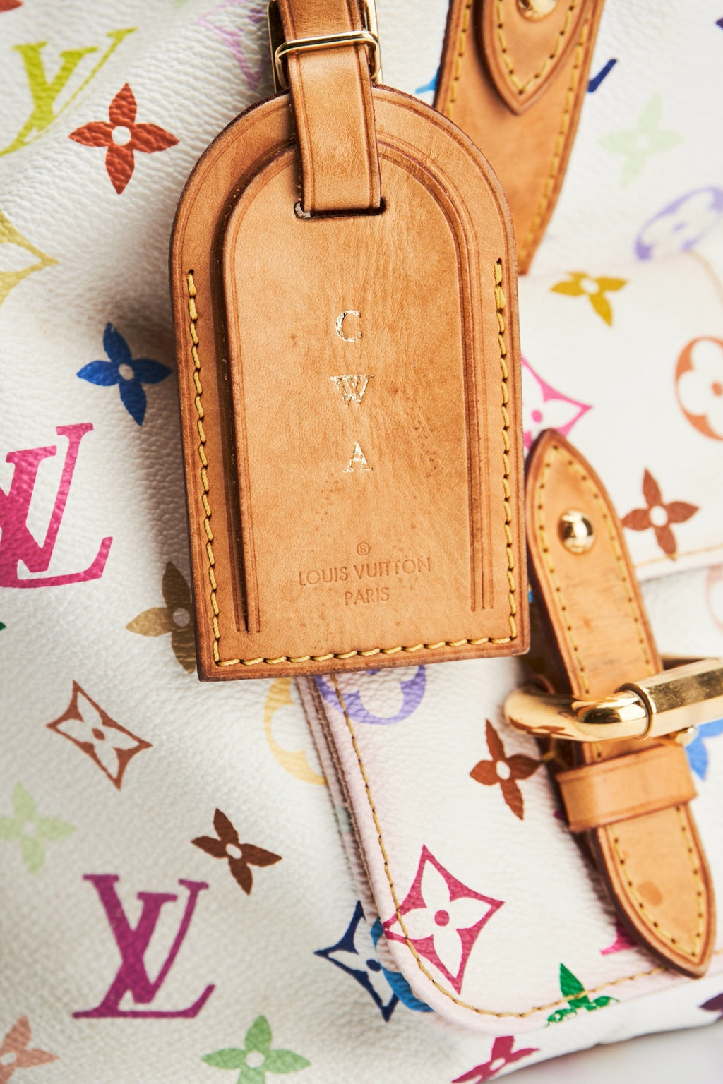 Louis vuitton multicolor noe