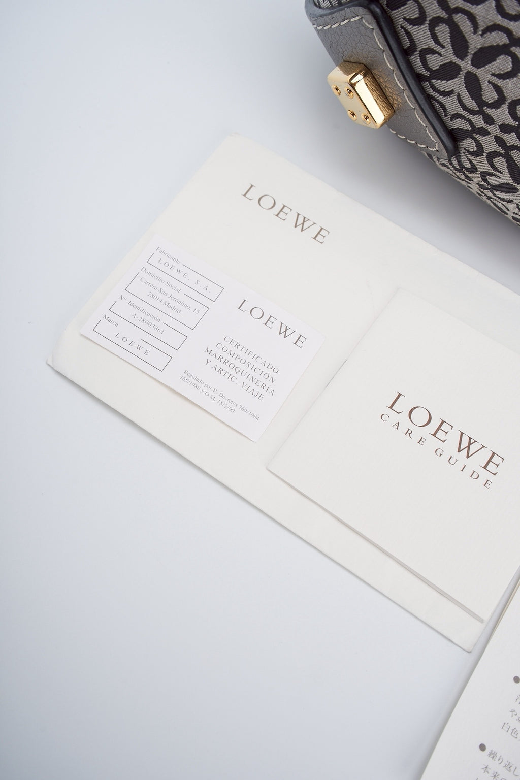 Loewe canvas hobo