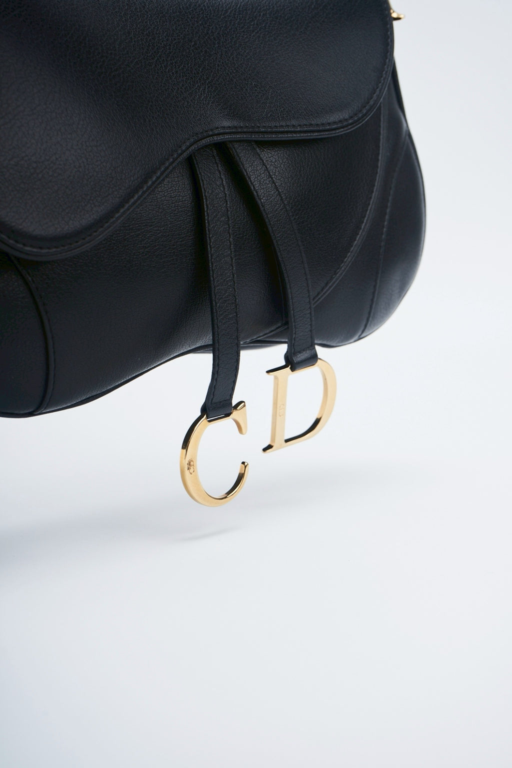 Dior double saddle