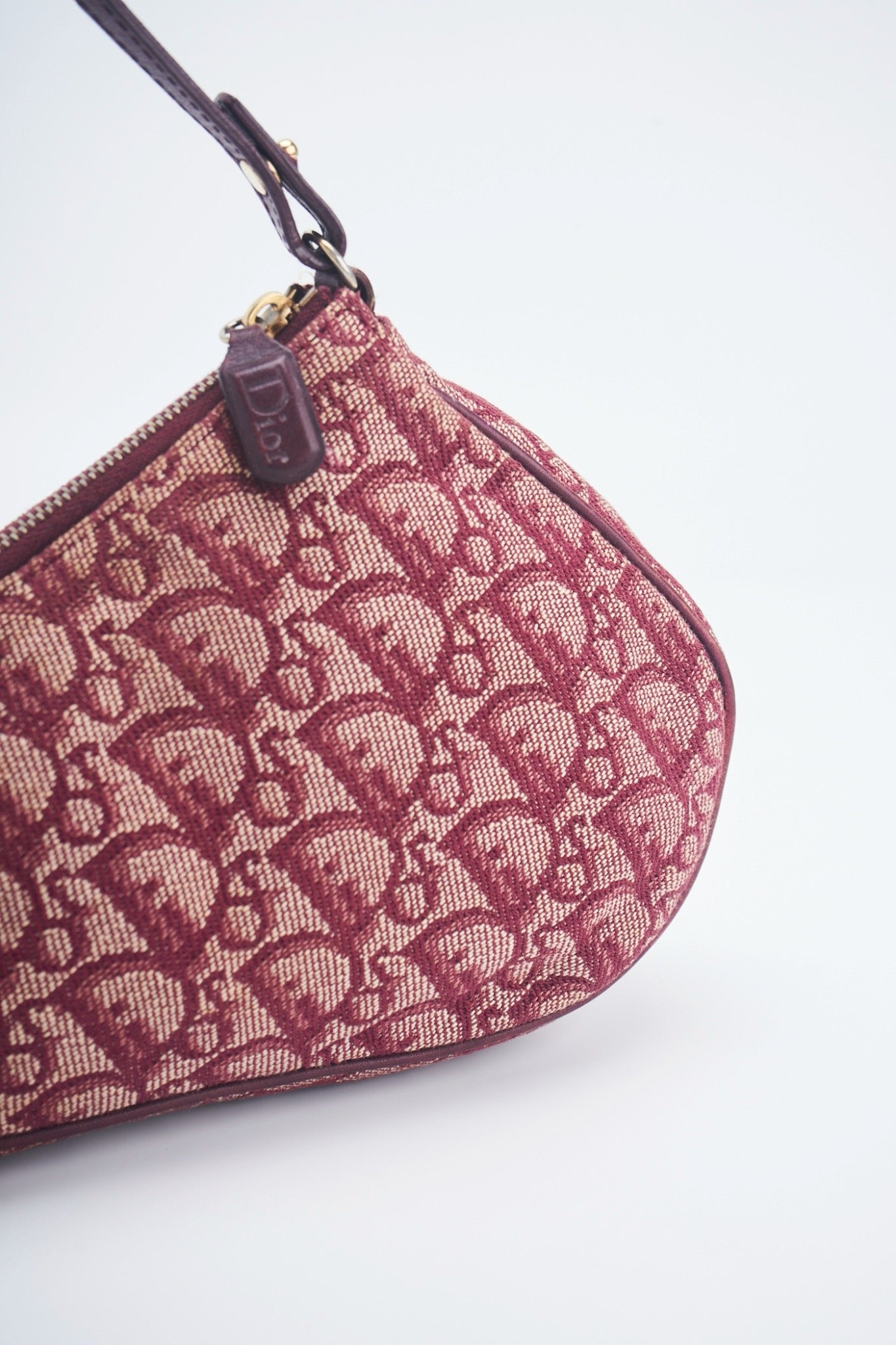 Dior mini saddle bag