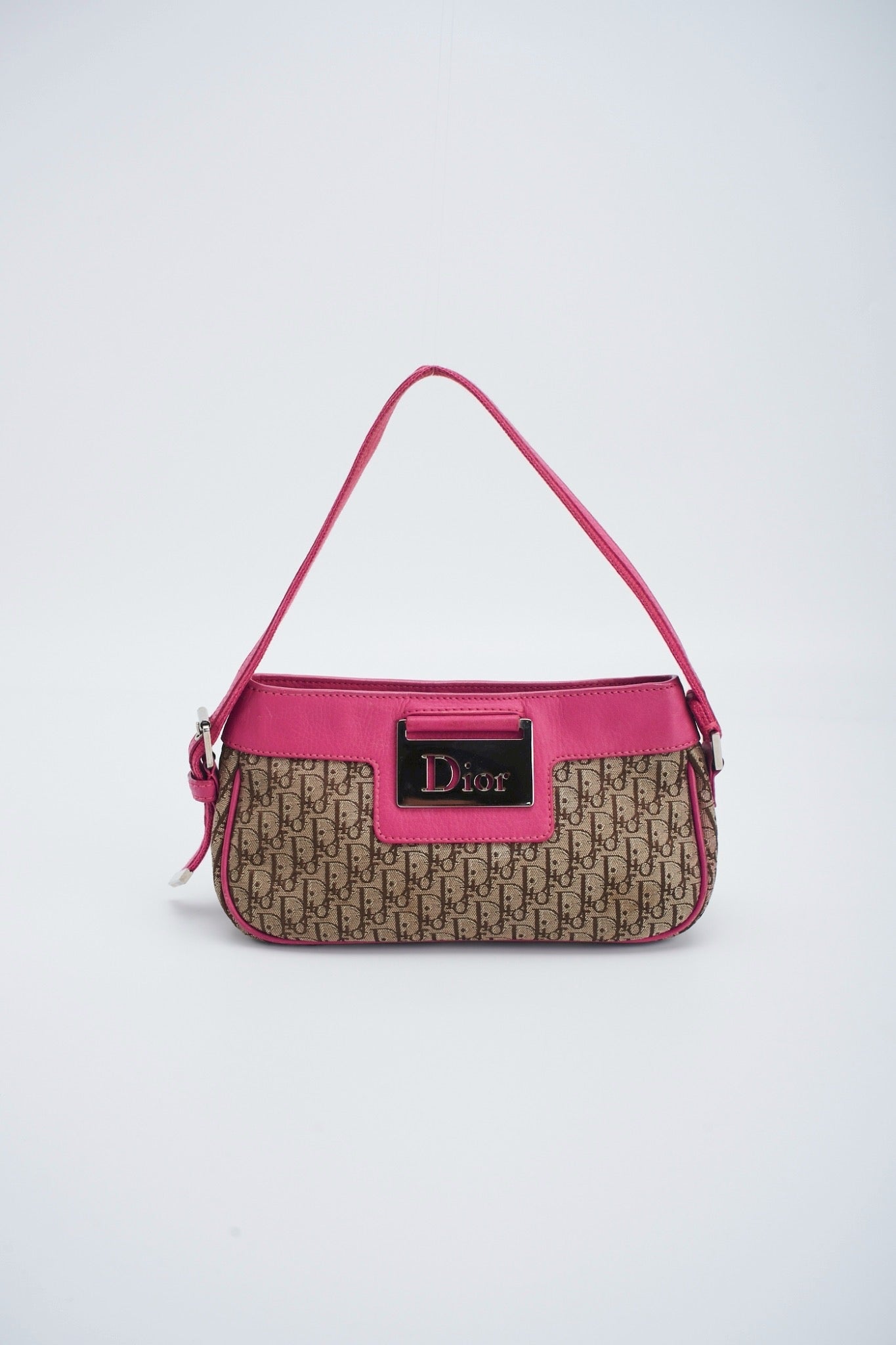 Dior trotter pink pochette