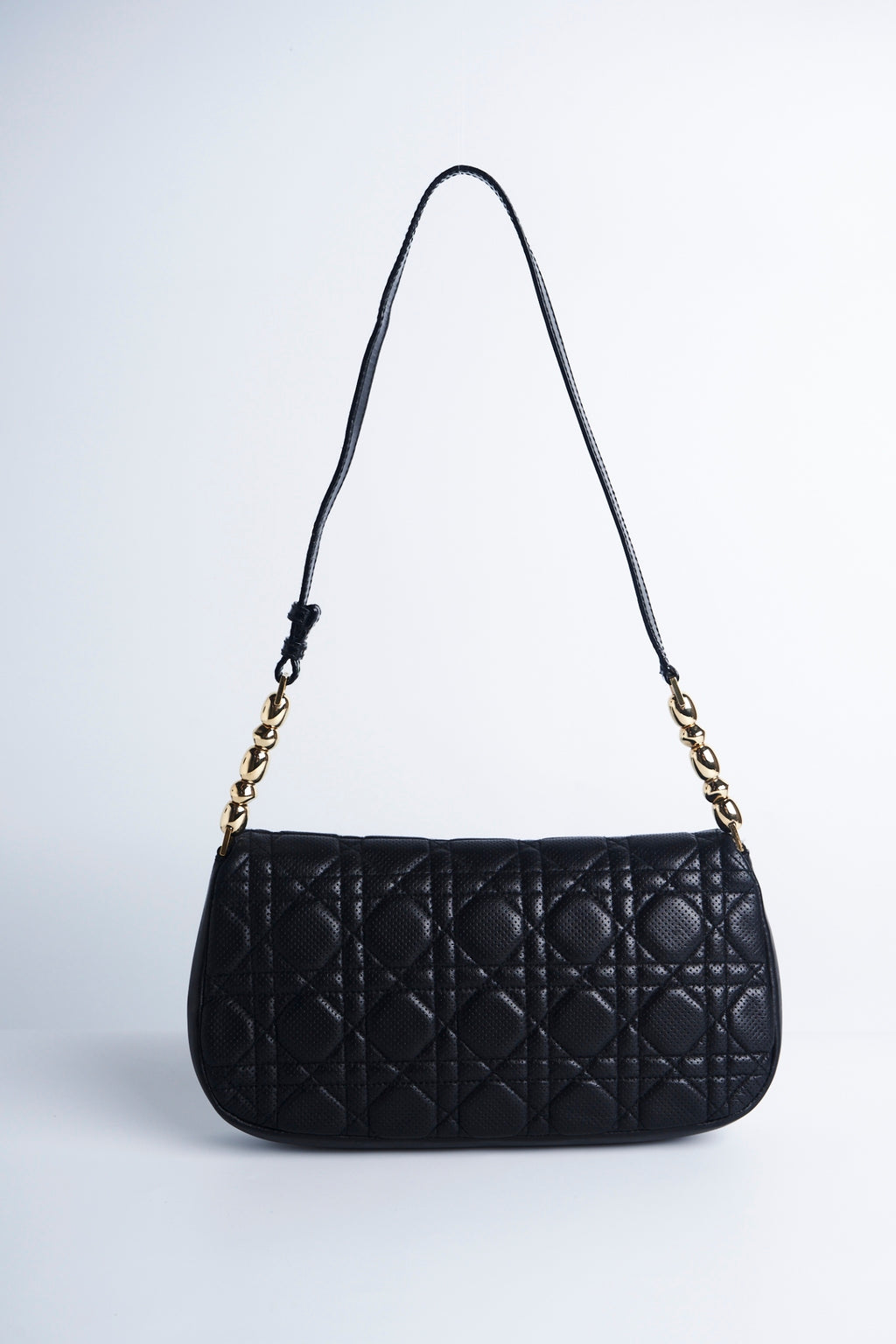 Dior trotter leather pochette