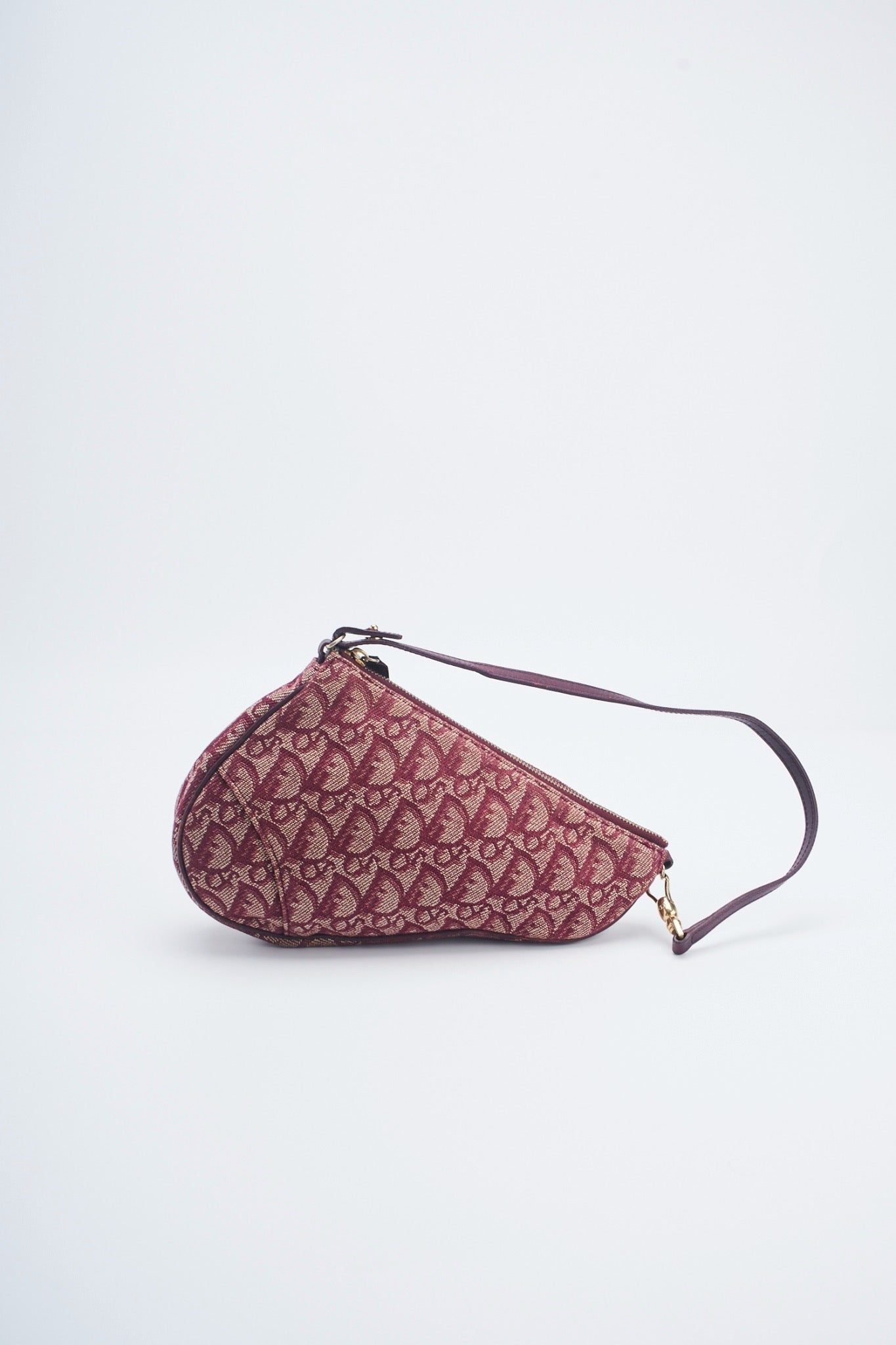 Dior mini saddle bag