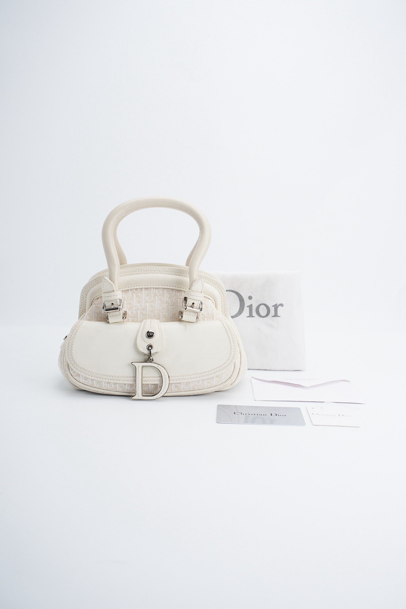 Dior detective small handbag
