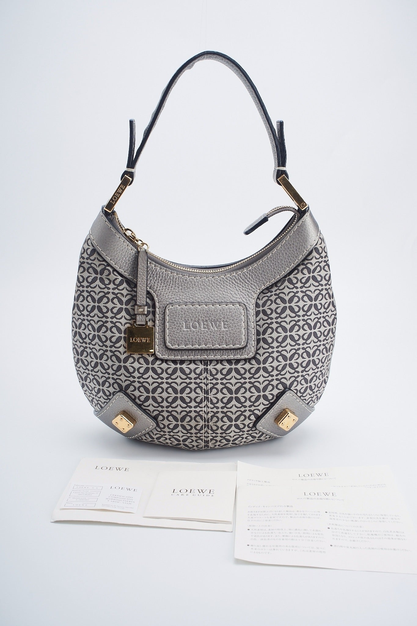 Loewe canvas hobo