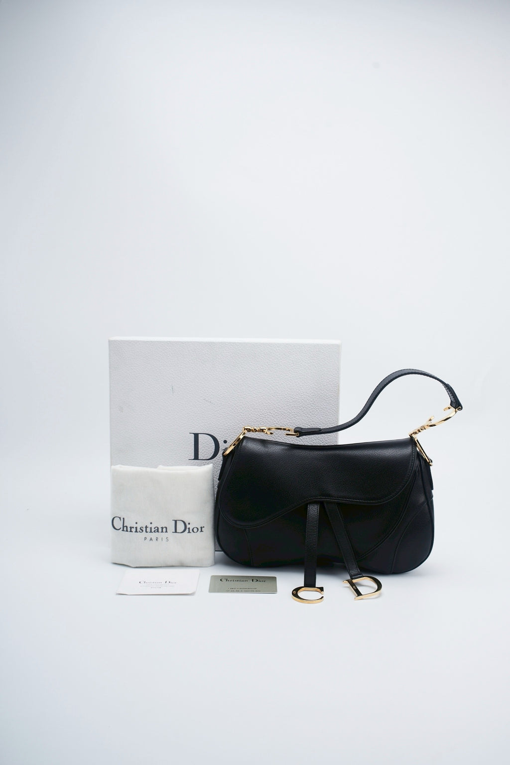 Dior double saddle