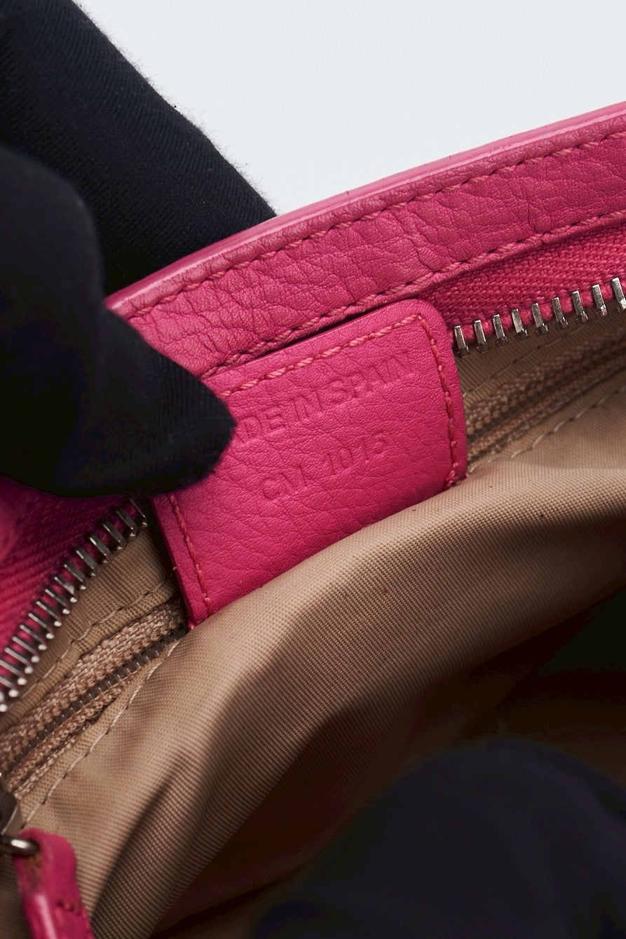 Dior trotter pink pochette