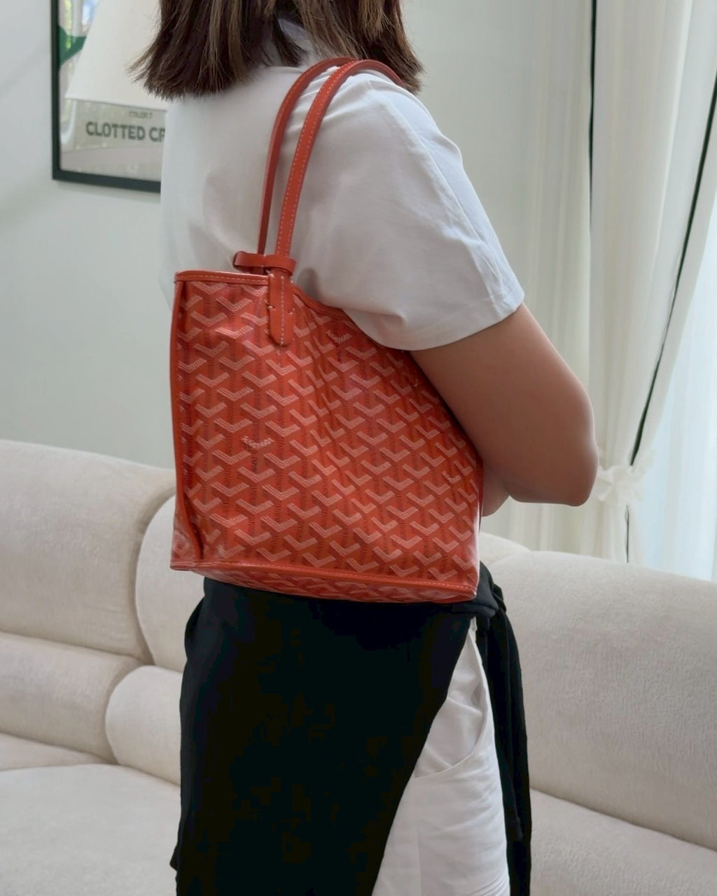 Goyard anjou mini