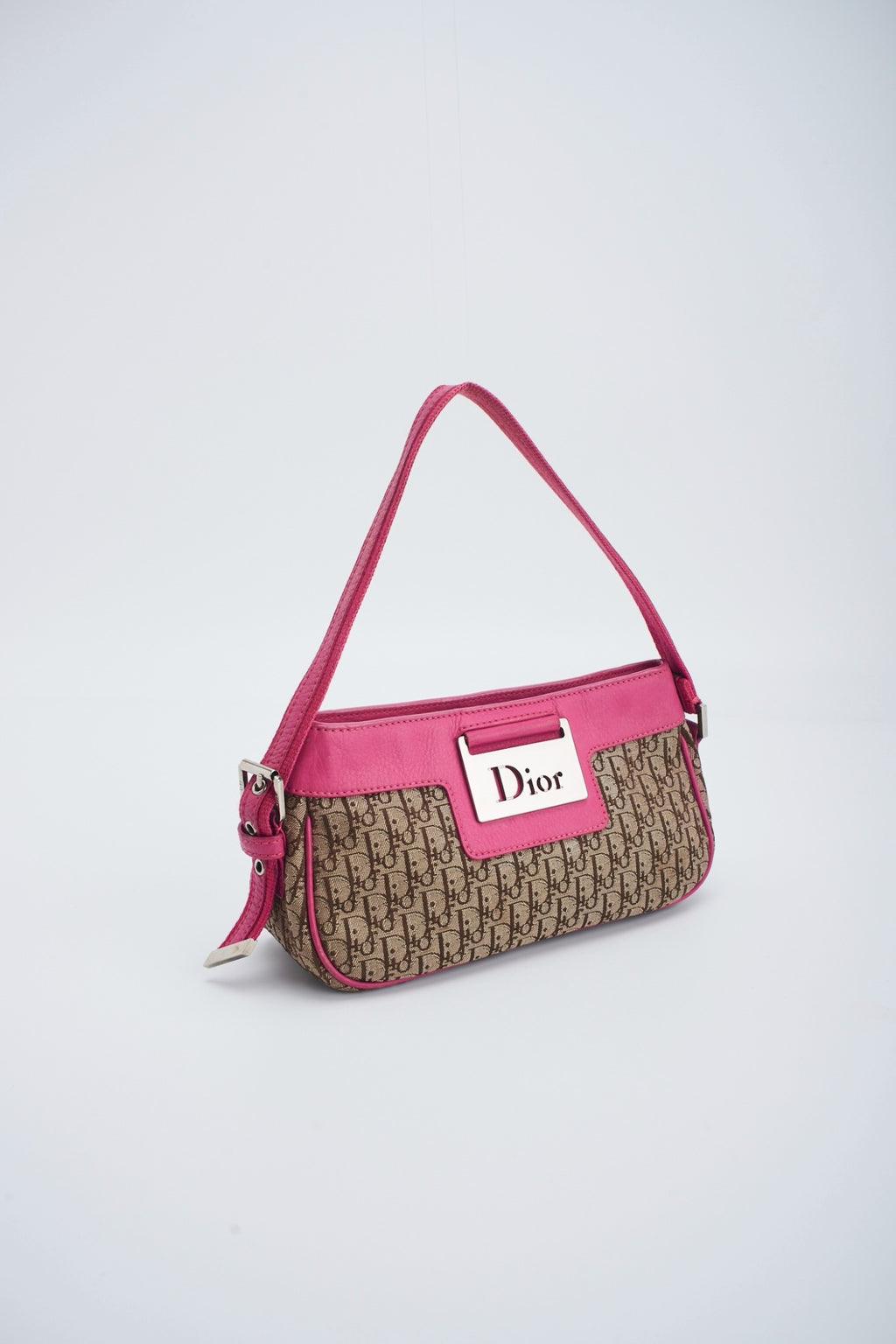 Dior trotter pink pochette