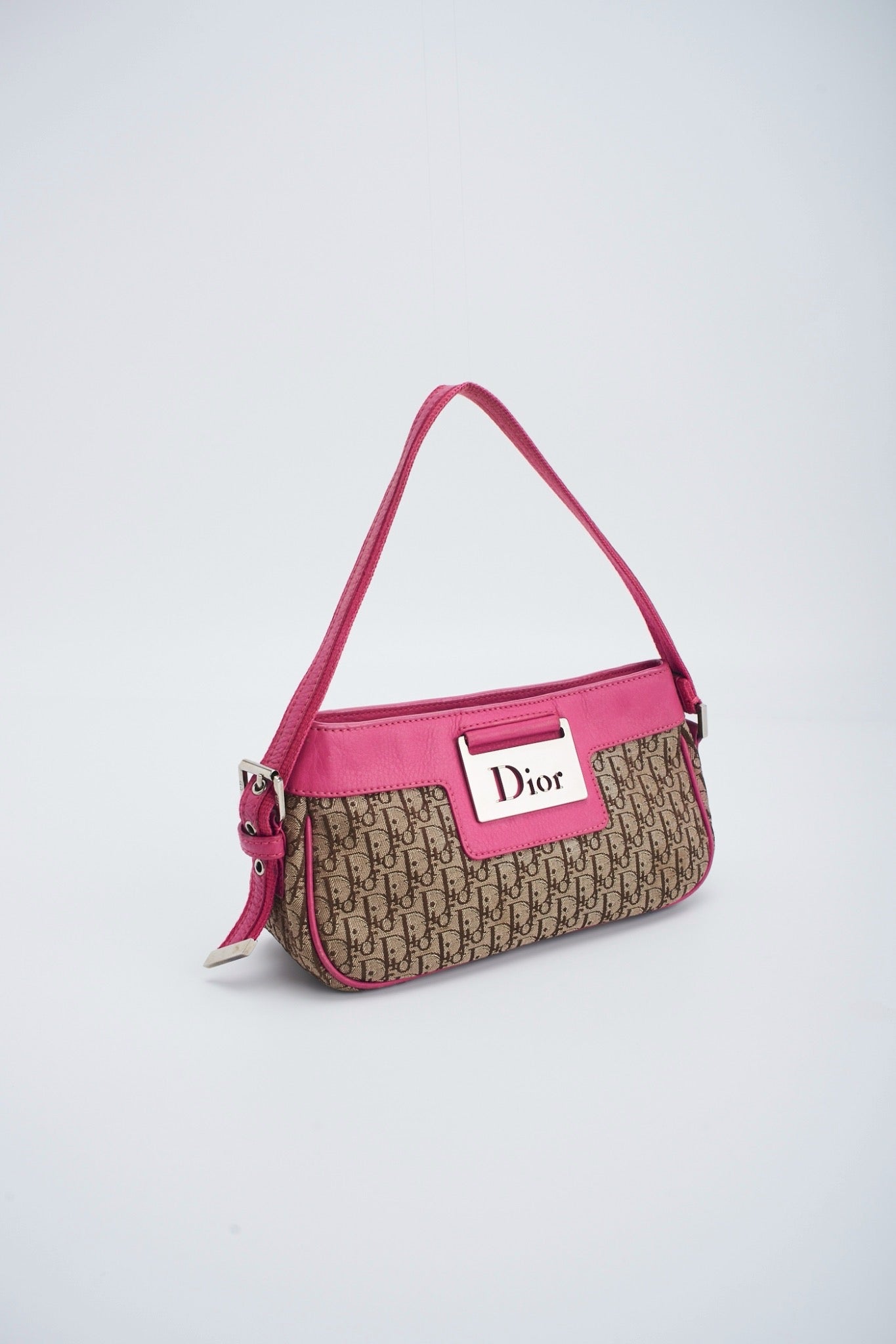 Dior trotter pink pochette