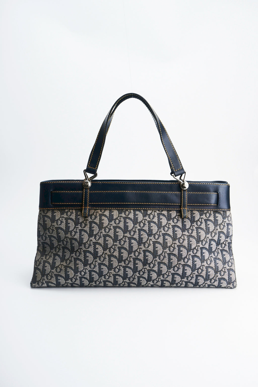 Dior trotter handbag