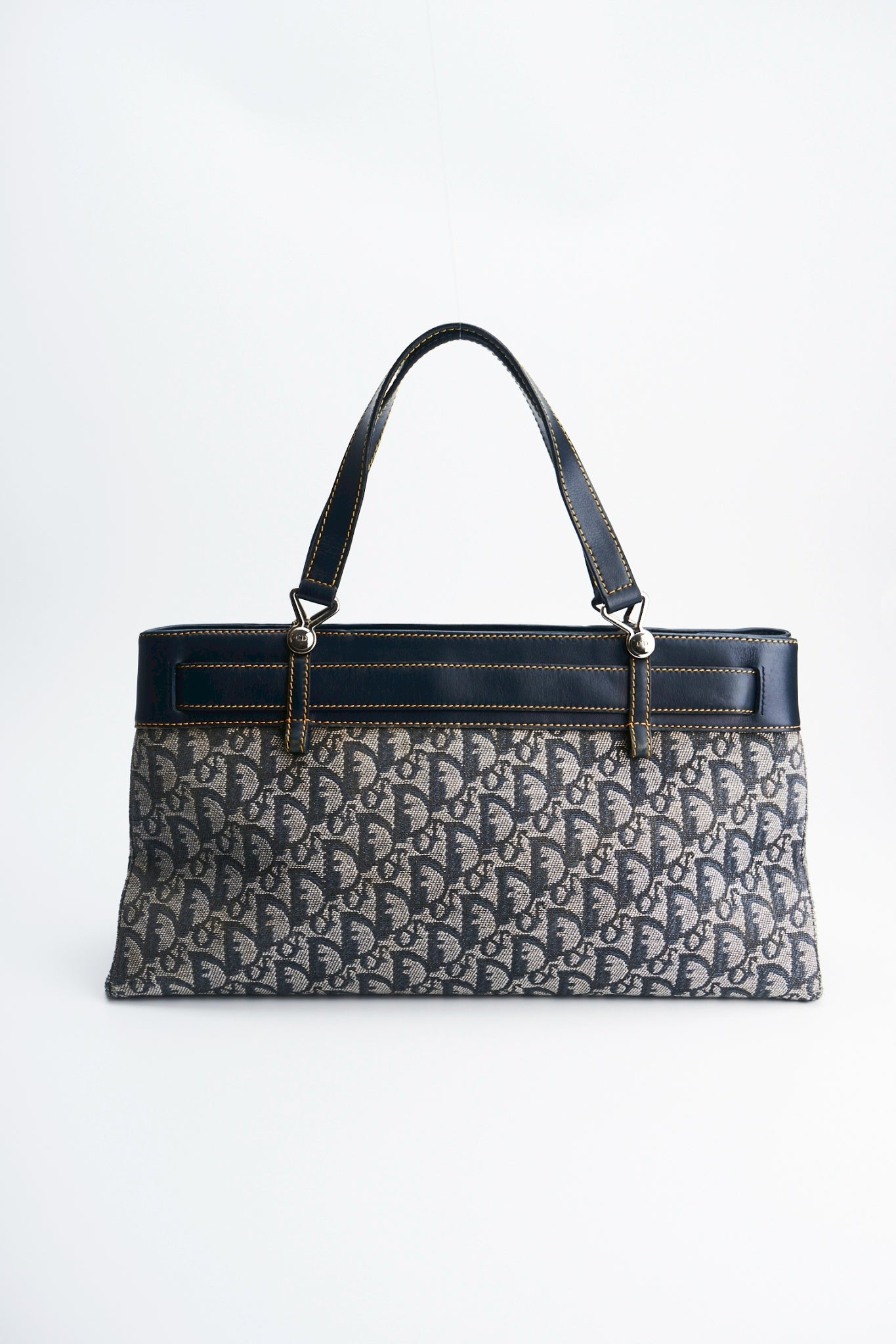 Dior trotter handbag