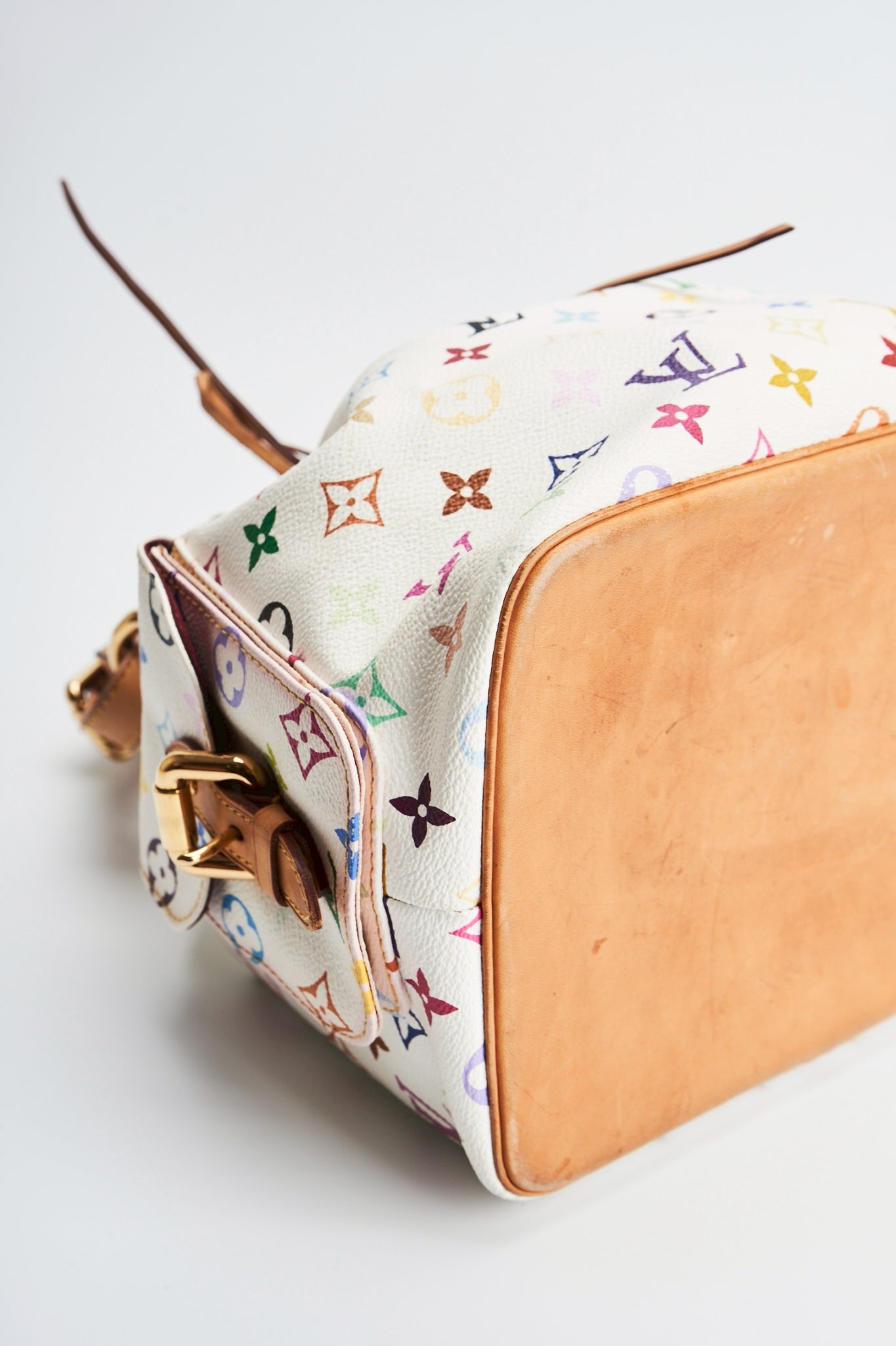 Louis vuitton multicolor noe