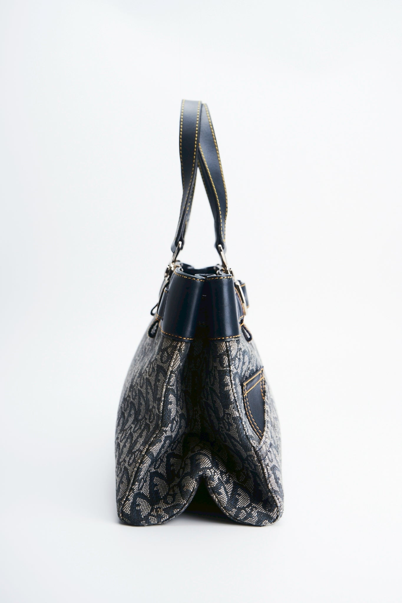 Dior trotter handbag