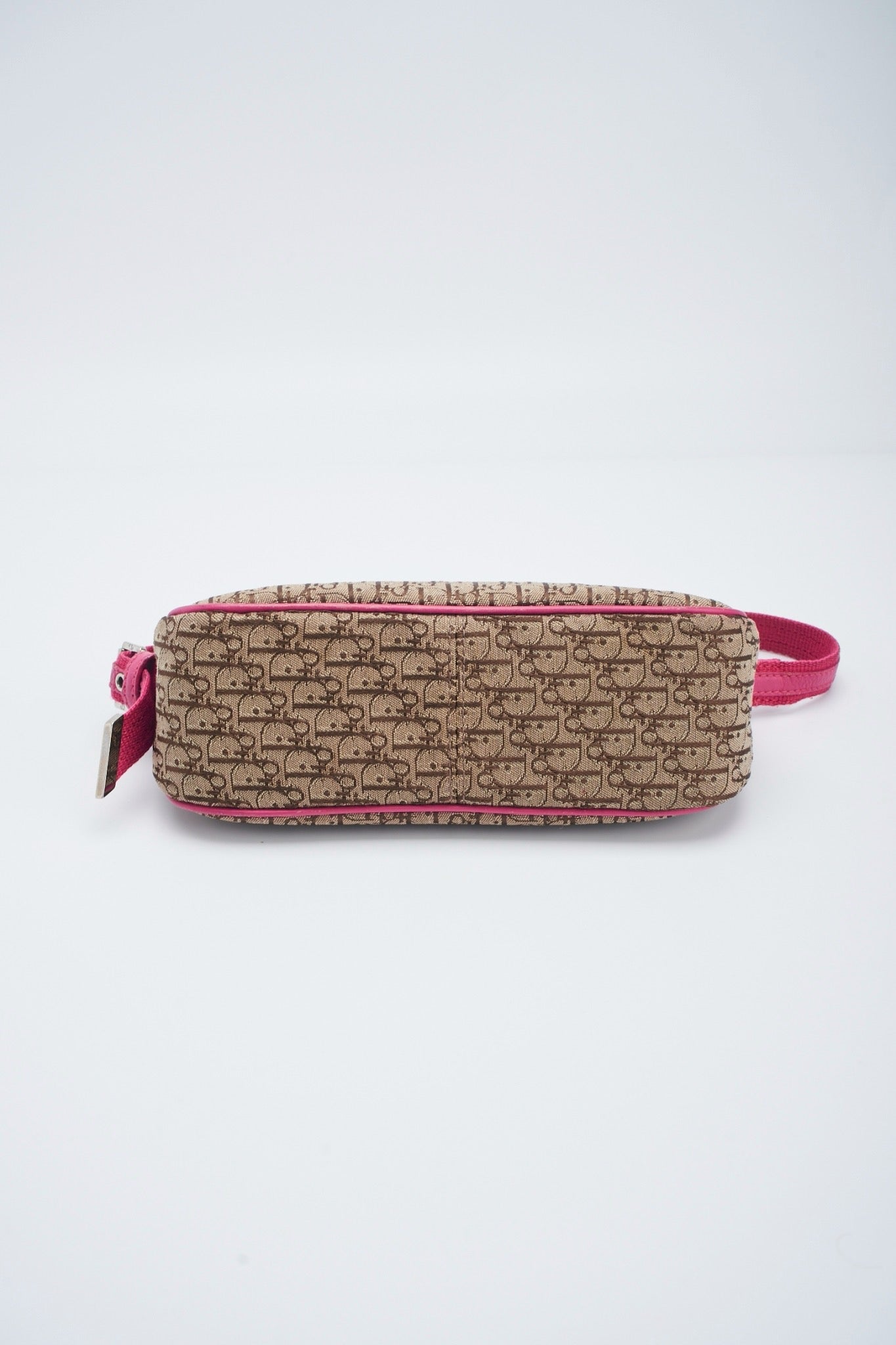 Dior trotter pink pochette