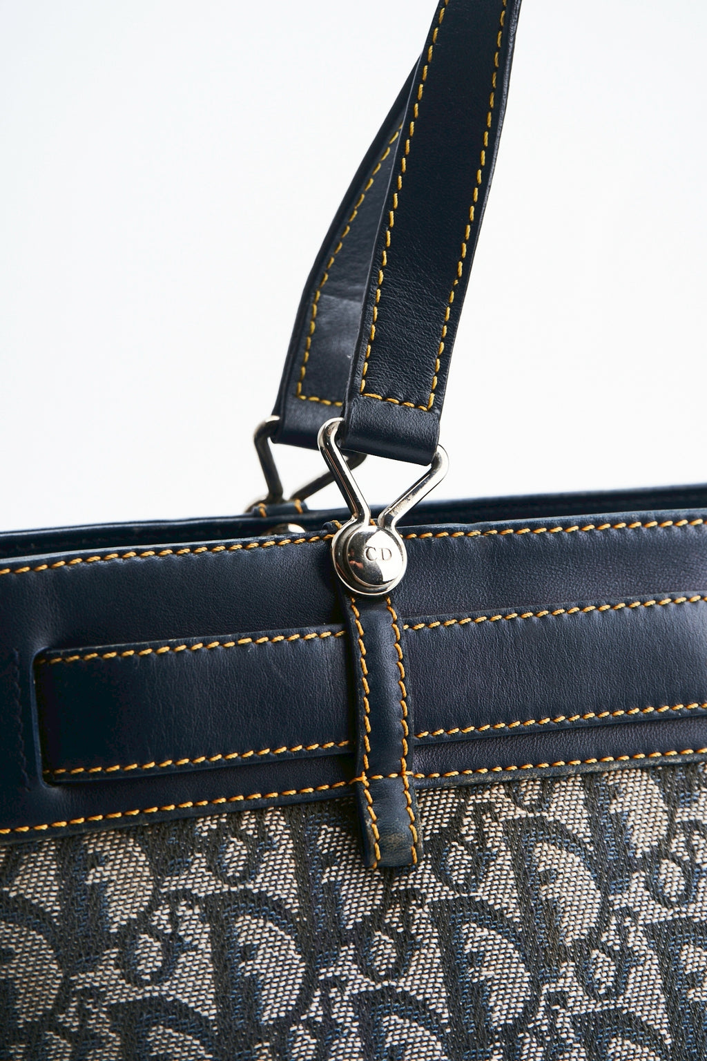 Dior trotter handbag