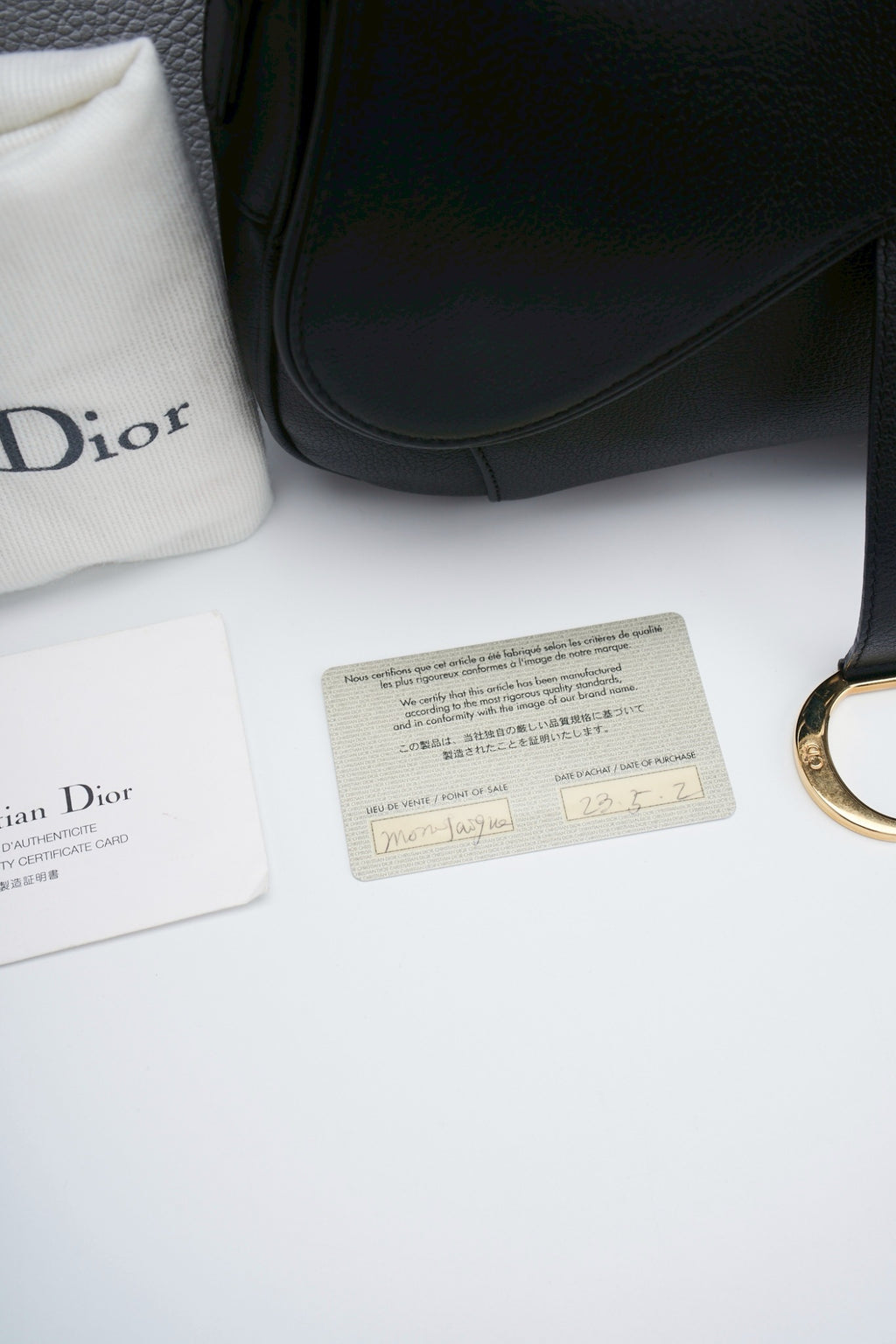 Dior double saddle