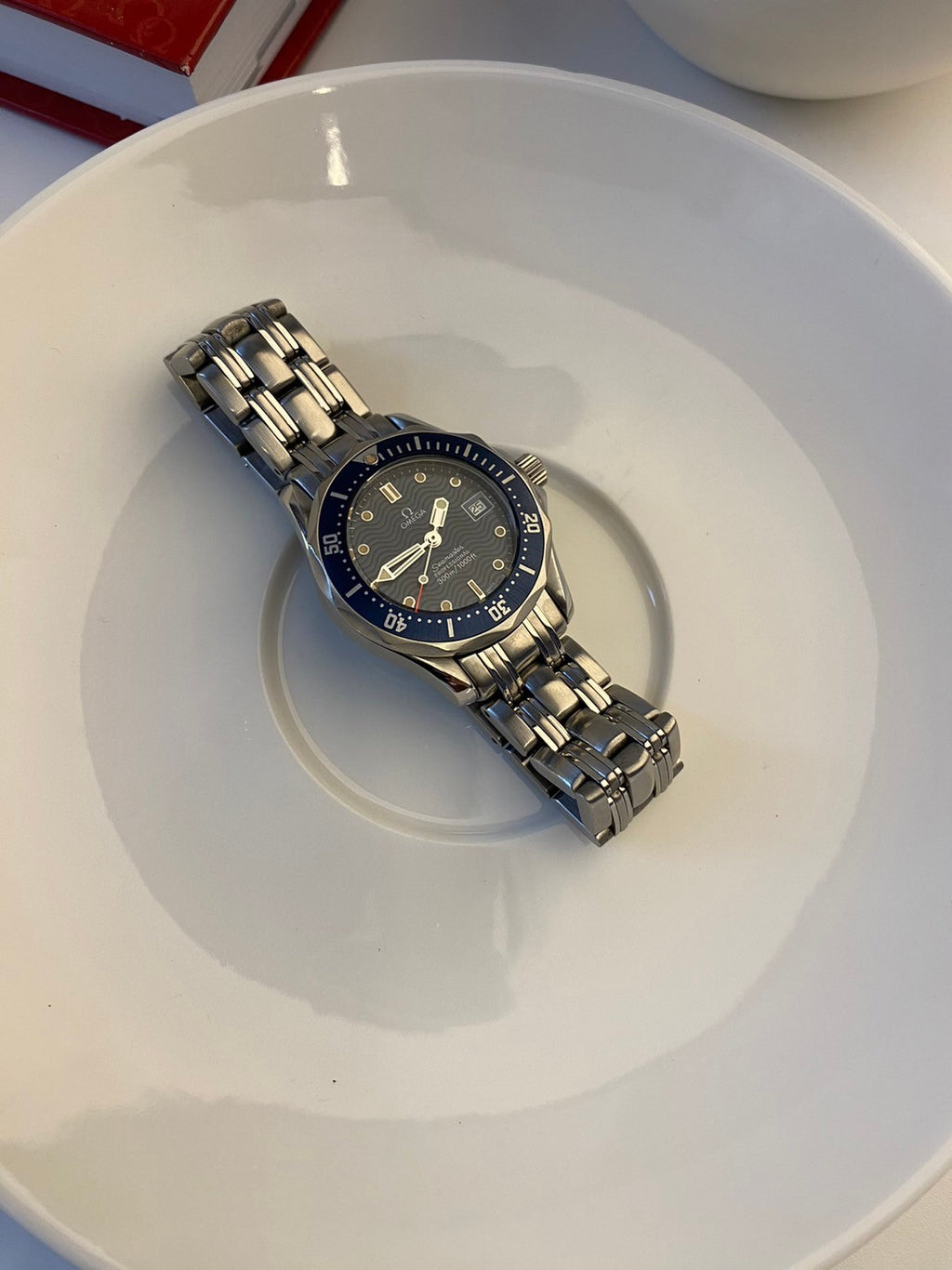Omega seamaster professional
