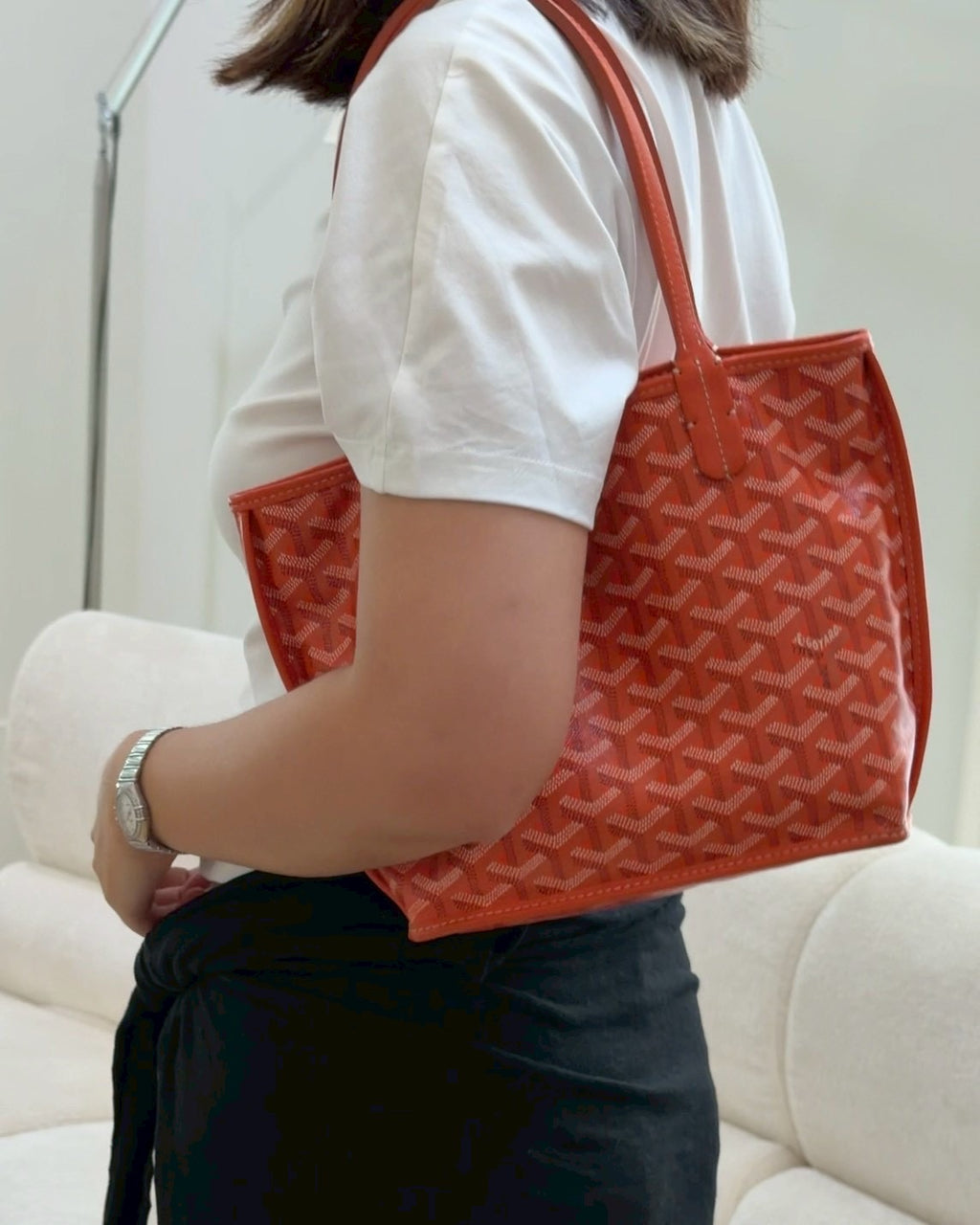 Goyard anjou mini