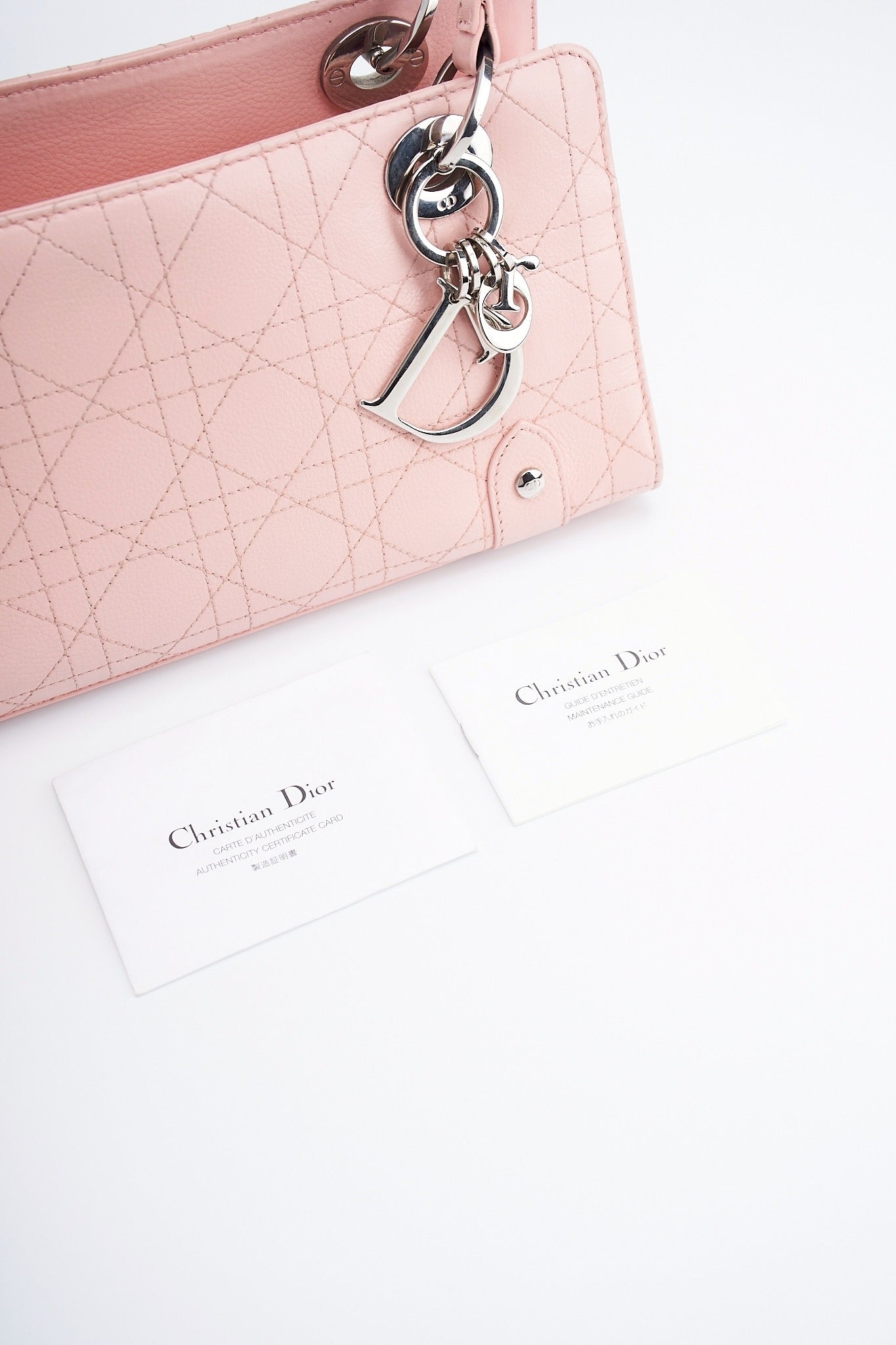 Dior D-Joy shoulder bag
