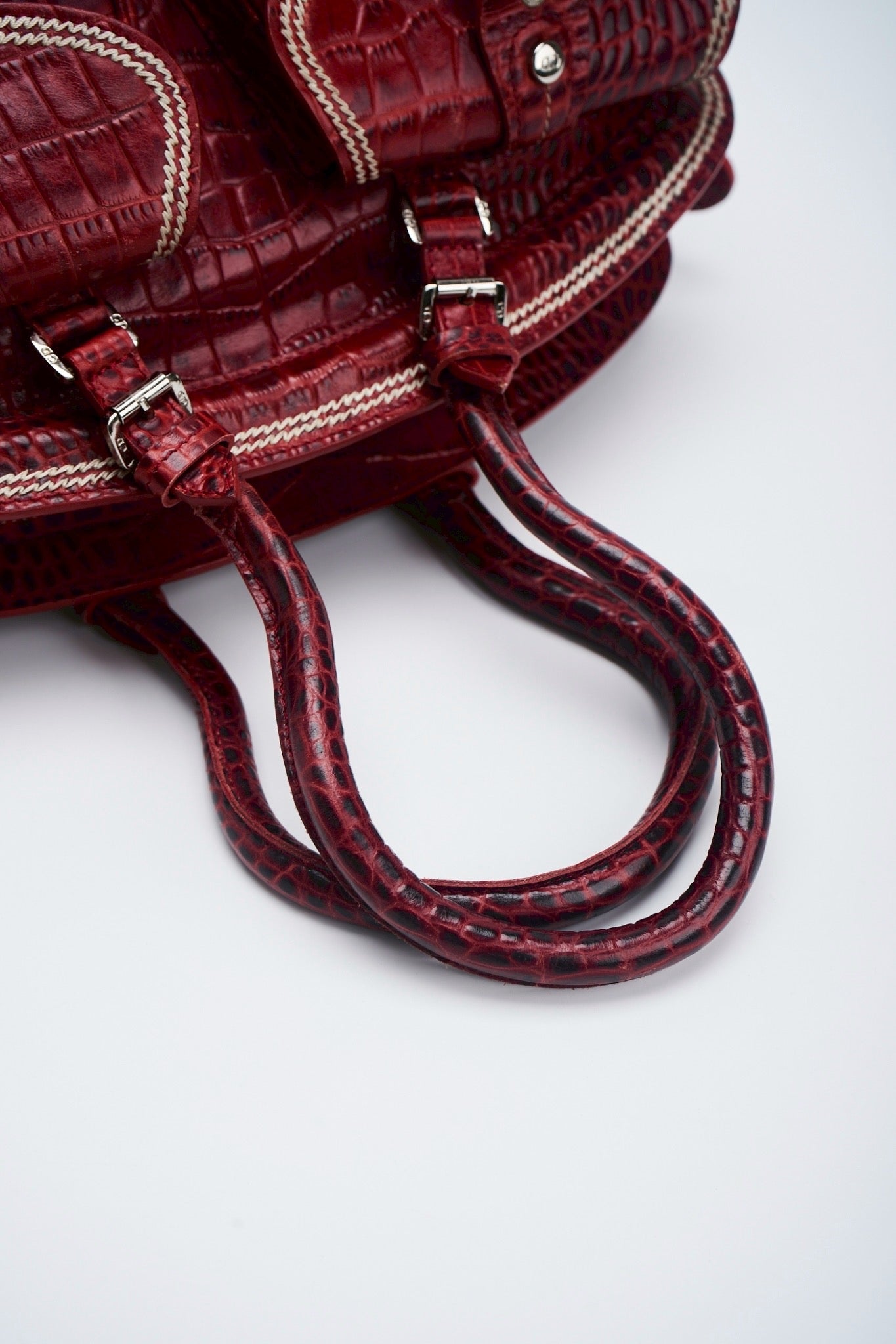 Dior detective crocodile leather