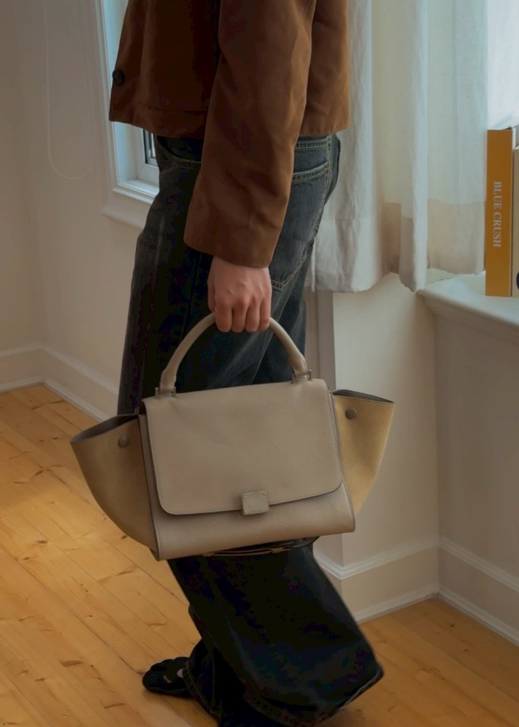 Celine Trapeze suede