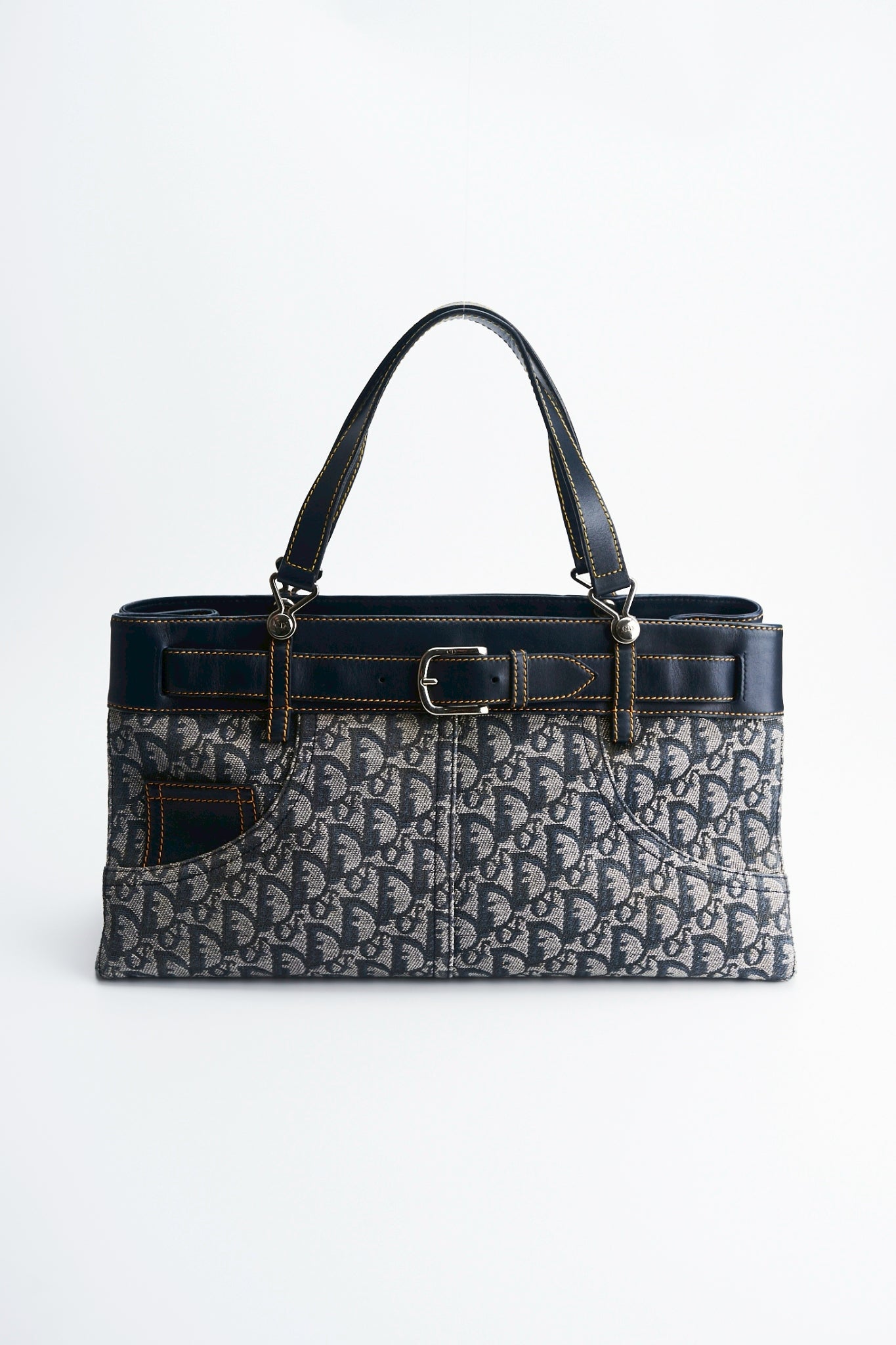 Dior trotter handbag