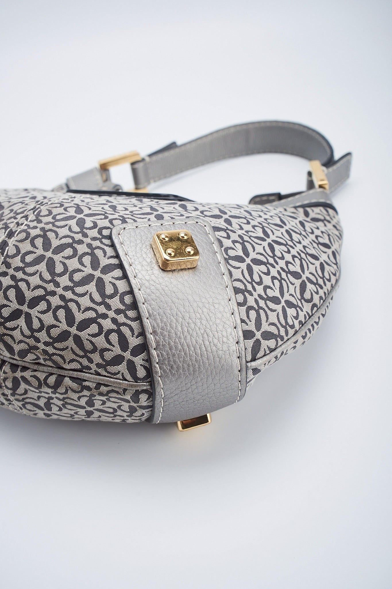 Loewe canvas hobo