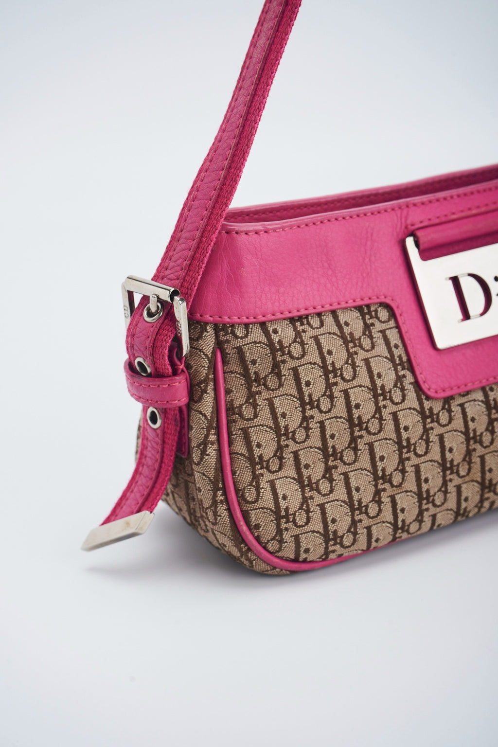 Dior trotter pink pochette